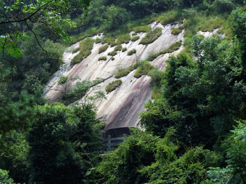 绿化护坡