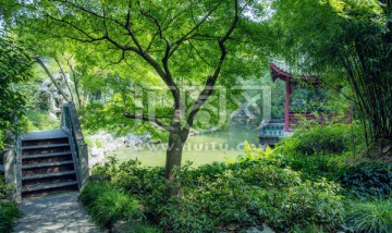 上海丁香花园