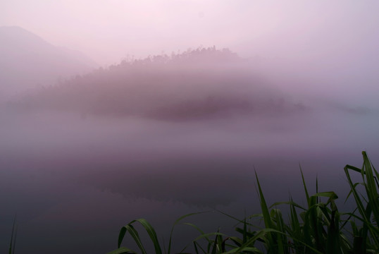 晨雾背景