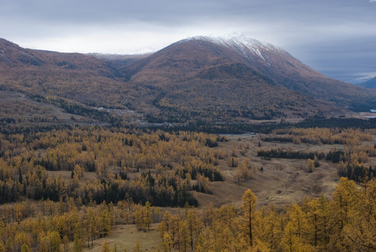 喀纳斯风景区漫山遍野的原始森林