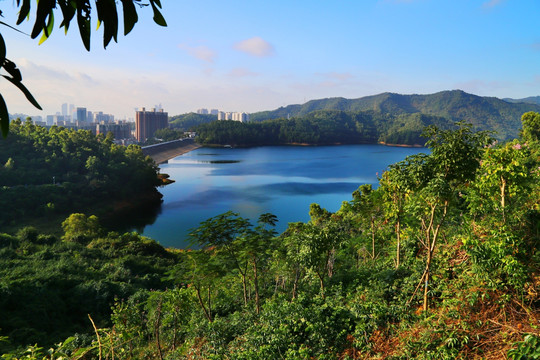 深圳梅林水库