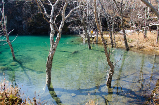 长白山 湖泊