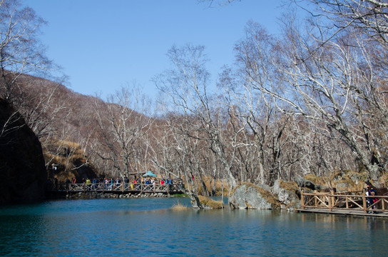 长白山 湖泊 森林