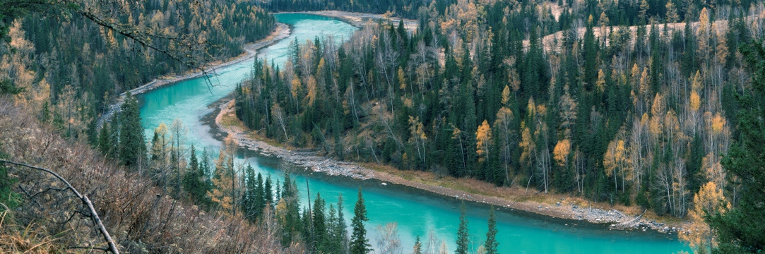 喀纳斯月亮湾一带的河湾山林秋景