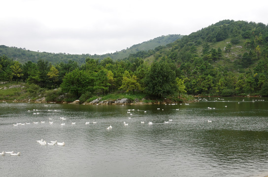 青山滴翠 绿水悠悠