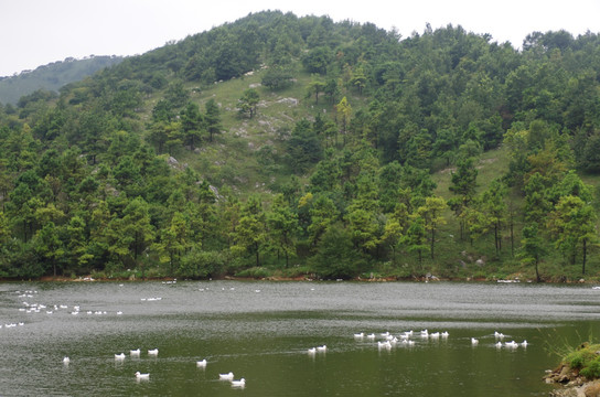 青山滴翠 绿水悠悠