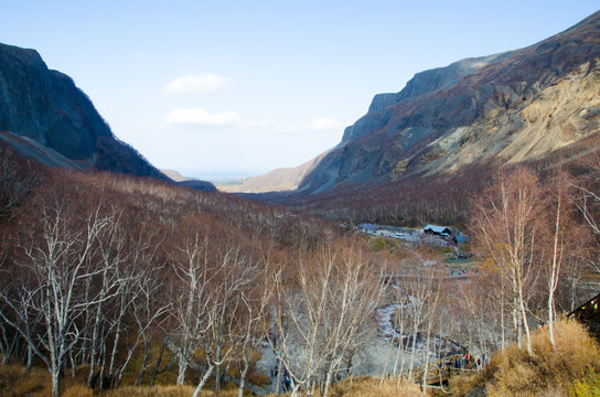 长白山 天池 原始森林