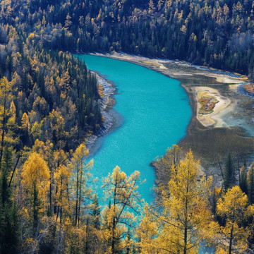 恍若月光的月亮湾山林黄叶秋景