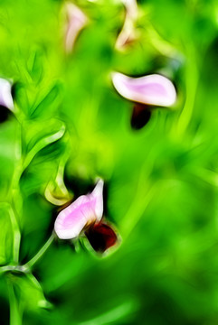 裝飾畫 花