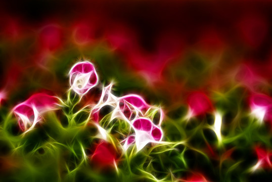 裝飾畫 花