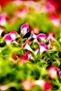 裝飾畫 花