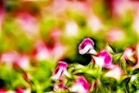 裝飾畫 花