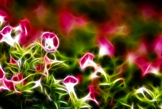 裝飾畫 花