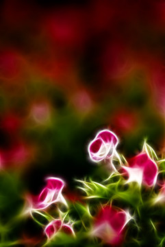 裝飾畫 花
