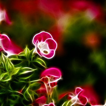 裝飾畫 花