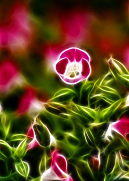 裝飾畫 花