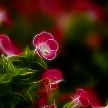 裝飾畫 花