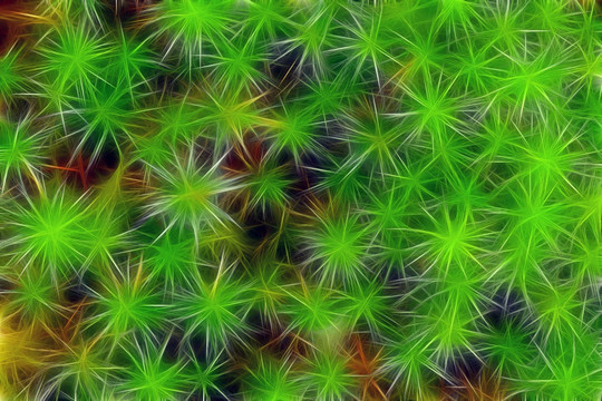 電腦畫 植物紋理