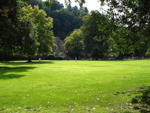 德国海德堡的草坪