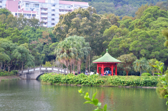 香港中文大学狮子亭