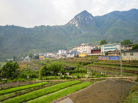 田园风光 怒江丙中洛梯田