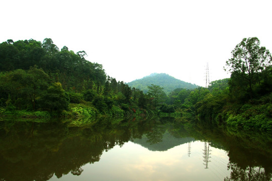 大夫山森林公园