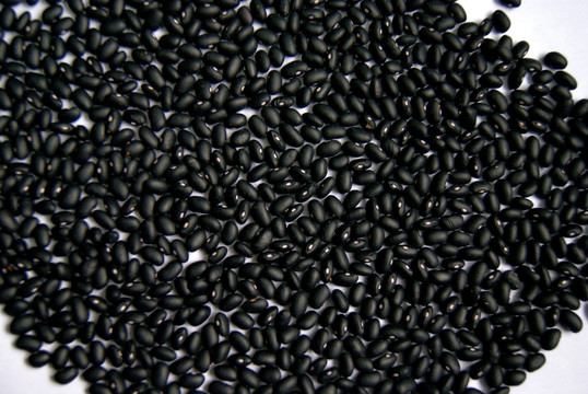 养生食品 黑豆