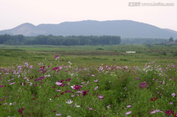 现代农业生态观光园