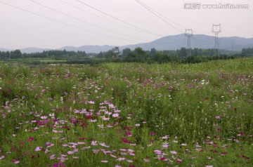 滁州城郊生态农业观光园