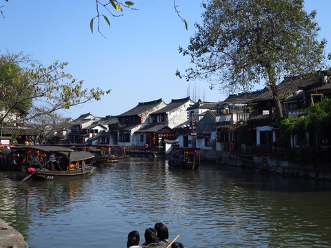 西塘 古镇 水乡风貌