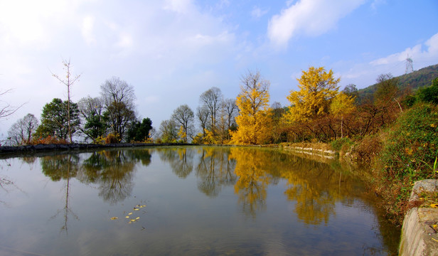 金秋 风景