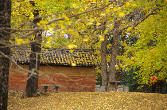 树林小屋