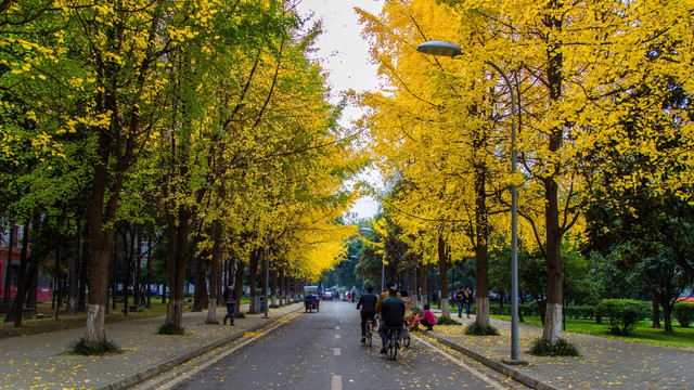 川大初冬