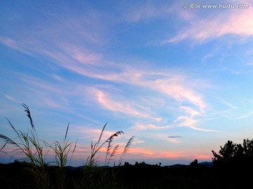 夕阳 落日