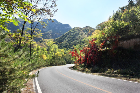 山路