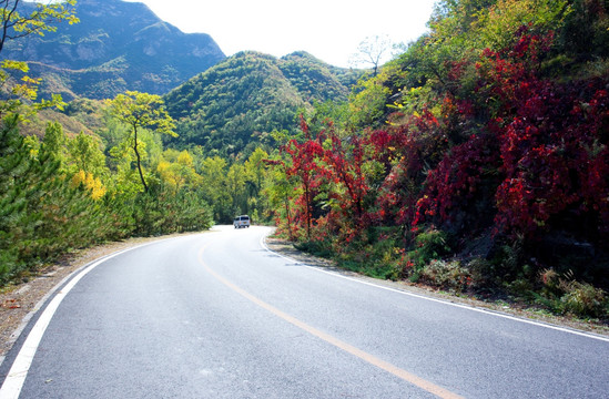 山路