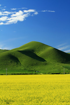 田野风光