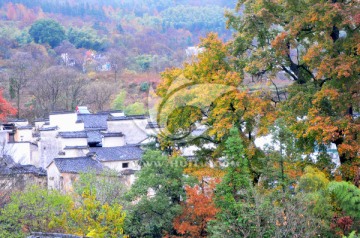 婺源秋色 徽派建筑 最美乡村