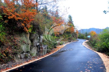 婺源秋色 乡村公路 最美乡村