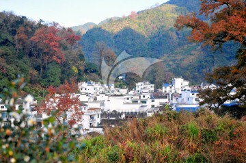 婺源秋色 徽派建筑 最美乡村