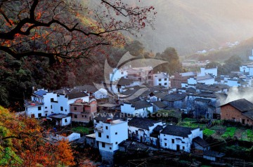 婺源秋色 徽派建筑 最美乡村