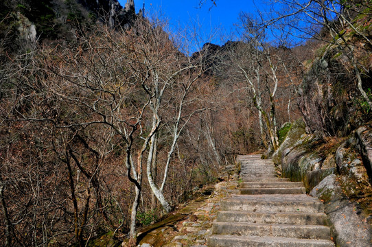 黄山风光 云雾 风雨黄山 云海