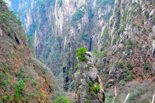 黄山风光 云雾 风雨黄山 云海