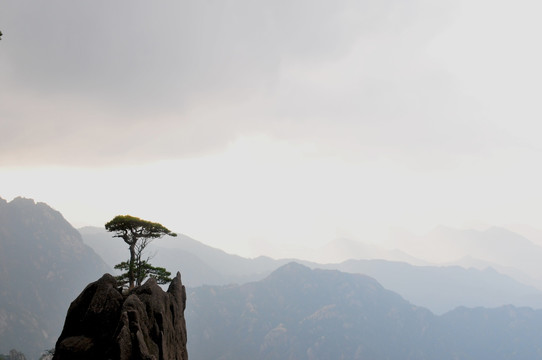 黄山风光 云雾 风雨黄山 云海