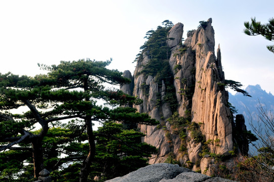 黄山风光 云雾 风雨黄山 云海