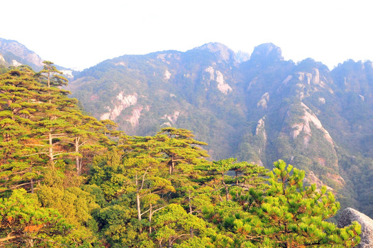 黄山风光 云雾 风雨黄山 云海