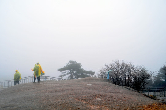 黄山风光 云雾 风雨黄山 云海