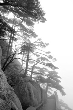 黄山风光 云雾 风雨黄山 云海