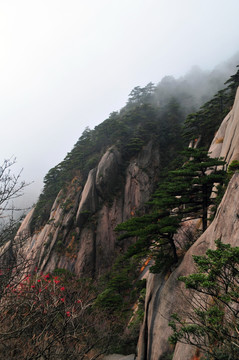 黄山风光 云雾 风雨黄山 云海