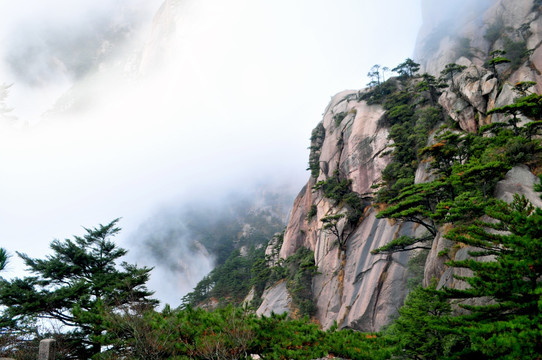 黄山风光 云雾 风雨黄山 云海